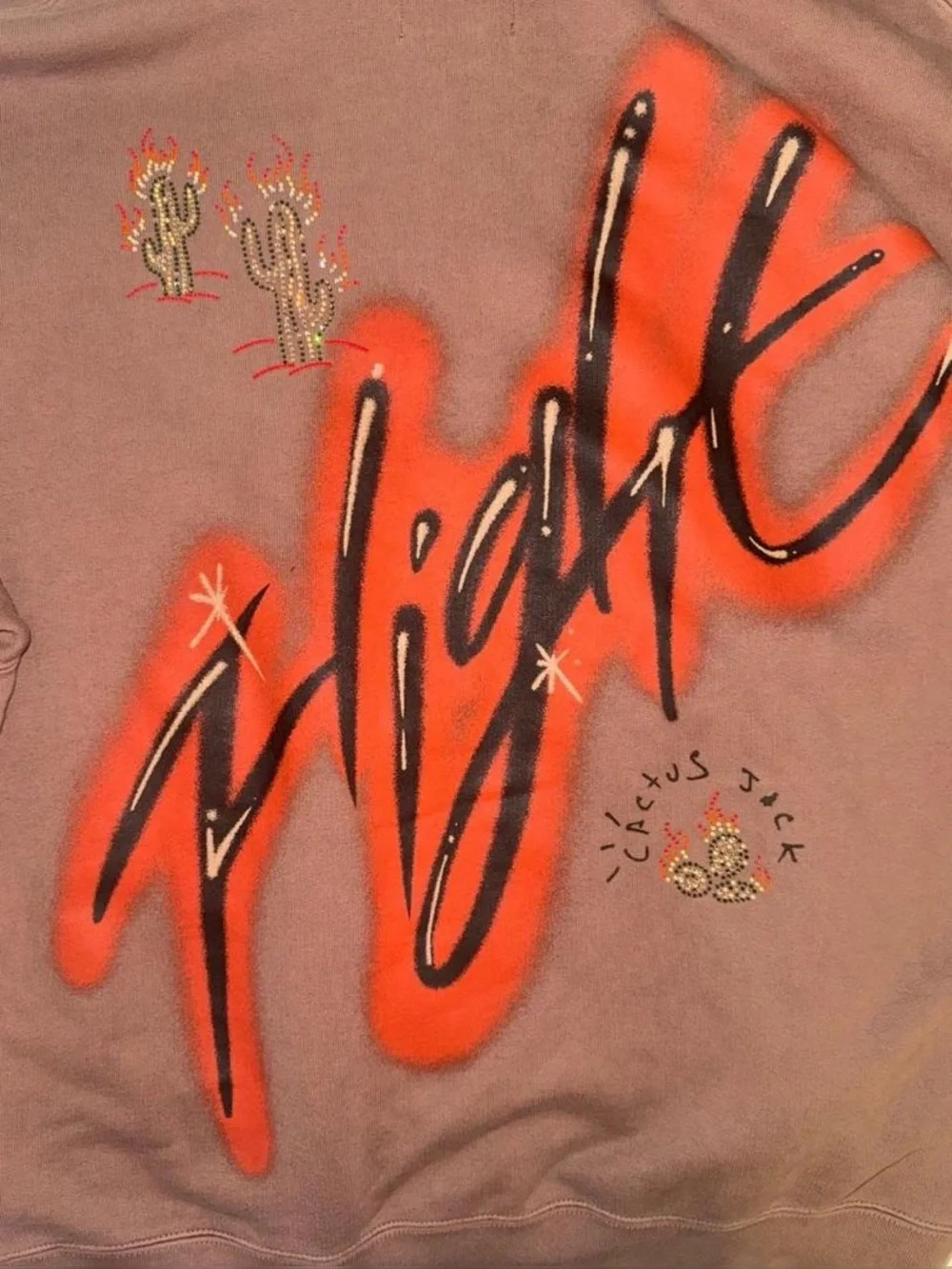 Jordan x cactus Jack Brown Embroidered Cactus Hoodie - Men